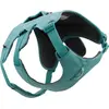Image de Ruffwear harnais pour chiens Web Master River Rock Green, taille : L/XL