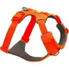 Image de Ruffwear Front Range  Harnais pour chien