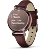 Image de Garmin - 010-02839-03 - Lily 2 Dark Bronze avec bracelet en cuir acajou