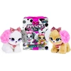 Image de SPINMASTER GFT Present Pets-Fancy 0