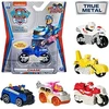 Image de Paw Patrol True Metal mix Spin Master