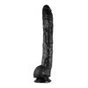 Image de Dick Rambone Cock