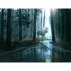 Image de SunsOut Puzzle XXL Caught by Light 300 Teile Puzzlespiel