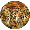 Image de Casse-tête SunsOut XXL - Lori Schory - Tigers Galore - 500 pièces