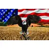 Image de Puzzle SunsOut Amber Waves of Grain - 1000 Teile Puzzle