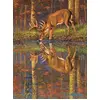 Image de Puzzle SunsOut Qu'y a-t-il sous nos pieds ? - 1000 pièces jeu de pose