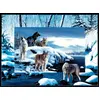 Image de SunsOut Puzzle Animaux Kevin Daniel - Ice Wolves - 1000 pièces