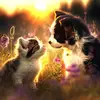 Image de SunsOut Puzzle Chat et chien - 500 pièces Puzzle