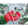 Image de Puzzle SunsOut Rencontre hivernale - 300 pièces