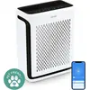 Image de LEVOIT Purificateur d'air HEPA Allergique Appartement Chambre fumeur Airflow