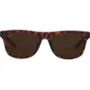 Image de Pit Viper The Landlocked Lunettes de soleil transparentes Brown Fade Hommes,Femmes transparentes Brown Fade