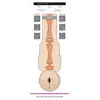 Image de Fleshlight Masturbateur Alexis Texas Outlaw Beige