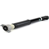 Image de Amortisseur ARNOTT EUROPE SK-3059