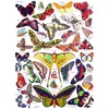 Image de New York Puzzle Company - Puzzle Animaux : Papillons, 1 000 pièces, carton