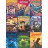 Image de New York Puzzle Company : Puzzle Harry Potter XXL « Collage de couvertures de livres »   500 pièces