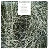 Image de Bloom/Separator/Lotus Flower en occasion ou reconditionné