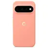 Image de Coque Pixelsnap Magnetic pour Google Pixel 11 Pro - Canyon - Neuf