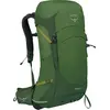 Image de Stratos 26 Men grün 26 - Farbe seaweed-matcha green