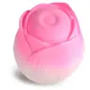 Image de BLOOMGASM - Stimulateur Pétales Pulsants - Rose