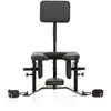 Image de Master Series - Pleasure Throne Oral Sex Chair