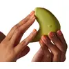 Image de Kiwi - Kiwi - Turquoise