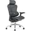 Image de Chaise de bureau ergonomique SIHOO Doro C300 avec accoudoirs 3D, soutien lombaire auto-ajustable et dossier en maille respirante - Neuf