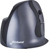 Image de Evoluent VerticalMouse D Large - Souris verticale - ergonomique - laser - 6 boutons - sans fil - récepteur sans fil (USB)