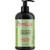 Image de Shampooing fortifiant Mielle Rosemary Mint 355ml