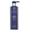 Image de Hydrataní ampon s kaviárem Caviar Anti-Aging (Replenishing Moisture Shampoo), 487 ml