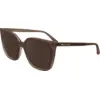 Image de Calvin Klein Femme Calvin Klein CK24509S 203 Lunettes de soleil Acétate Marron Marron Carré Normale Normale