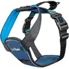 Image de Harnais de voiture CarSafe Crash Tested Extra Small Bleu COA