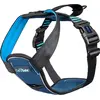 Image de Harnais de voiture CarSafe Crash Tested Medium Blue COA