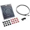 Image de PHANTEKS Neon Digital RGB LED-Strip 1m