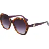 Image de LONGCHAMP Femme LONGCHAMP LO759S 502 Lunettes de soleil Acétate Violet Carré Normale Normale
