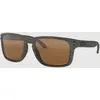Image de Oakley Holbrook XL Woodgrain marron Uni