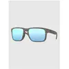 Image de Oakley Holbrook Woodgrain marron Uni