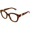Image de Chloé Femme Chloé CH0304O 002 Montures optiques Acétate Havane Transparent Ronde