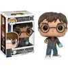 Image de Figurine Funko Pop! Harry Potter Harry Potter avec prophétie - Neuf
