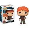 Image de Films Funko POP : Harry Potter - Ron Weasley avec la gale