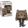 Image de FUNKO POP ! - Harry Potter - Hermione Granger as Cat #77