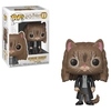 Image de FUNKO Pop! Vinyl: Harry Potter - Hermione Granger (as Cat) - Neuf