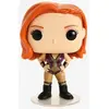 Image de FIGURINE FUNKO BOBBLE HEAD POP CULTURE WWE WRESTLING UNDERTAKER NOUVEAU ! Funko