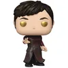 Image de Marvel Eternals - Druig 733 - Funko Pop - Figurine vinyle