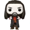 Image de Funko What We Do in the Shadows POP ! TV Figurine Vinyle Nandor 9 cm FK67545