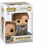 Image de Funko Pop Harry Potter Remus Lupin avec Carte - Figurine Vinyle - Hauteur 10,5cm env. - Neuf
