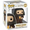 Image de FUNKO POP 76009 Figurine d'action et de collection