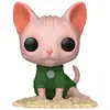 Image de FUNKO POP! Snow White (Plaid Dress) - Neuf