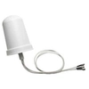 Image de Cisco Aironet Dual-Band MIMO Wall-Mounted Omnidirectional Antenna - Antenne - 4 dBi - omnidirectionnelle - extérieur, montage mural possible, intérieur