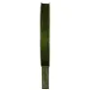 Image de Ruban Organdi Vert Olive 7 mm