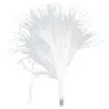 Image de Sachet de 20 plumes 7 cm, Blanches